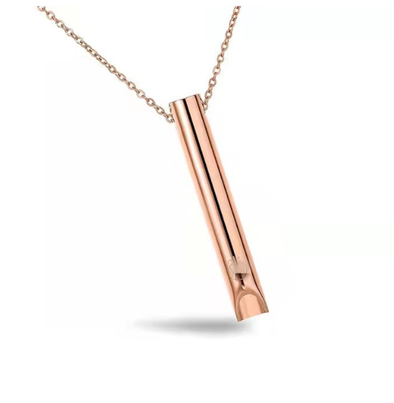 Fashionable Stainless Steel Pendant – 001
